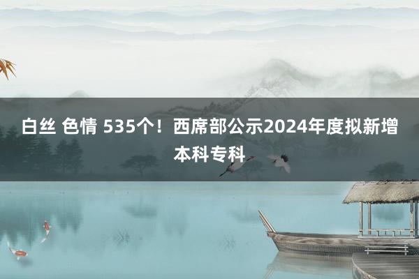 白丝 色情 535个！西席部公示2024年度拟新增本科专科