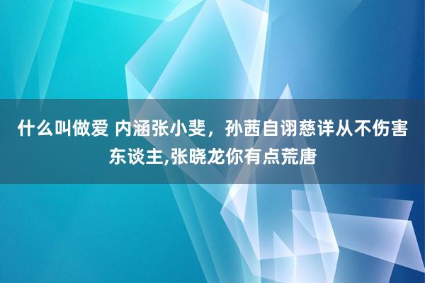 什么叫做爱 内涵张小斐，孙茜自诩慈详从不伤害东谈主,张晓龙你有点荒唐