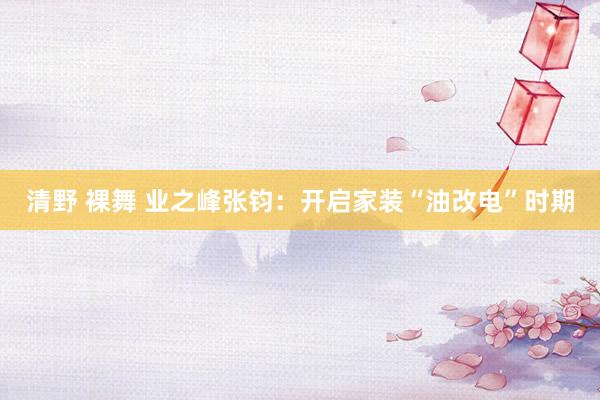 清野 裸舞 业之峰张钧：开启家装“油改电”时期
