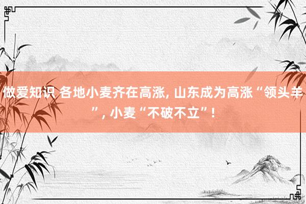 做爱知识 各地小麦齐在高涨, 山东成为高涨“领头羊”, 小麦“不破不立”!