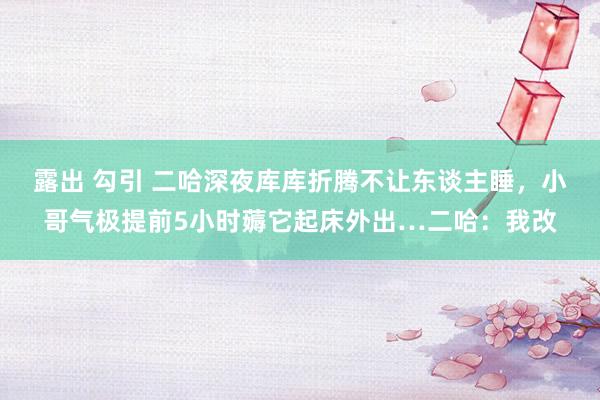 露出 勾引 二哈深夜库库折腾不让东谈主睡，小哥气极提前5小时薅它起床外出…二哈：我改