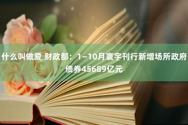 什么叫做爱 财政部：1—10月寰宇刊行新增场所政府债券45689亿元