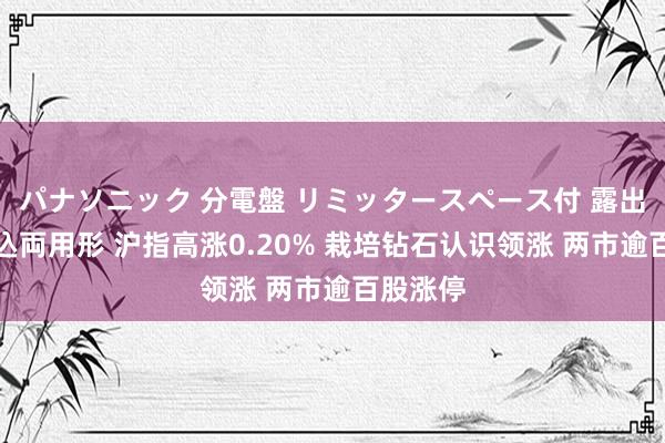 パナソニック 分電盤 リミッタースペース付 露出・半埋込両用形 沪指高涨0.20% 栽培钻石认识领涨 两市逾百股涨停