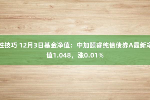 性技巧 12月3日基金净值：中加颐睿纯债债券A最新净值1.048，涨0.01%