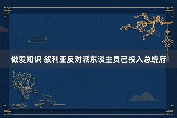 做爱知识 叙利亚反对派东谈主员已投入总统府