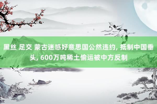 黑丝 足交 蒙古迷惑好意思国公然违约， 抵制中国垂头， 600万吨稀土偷运被中方反制
