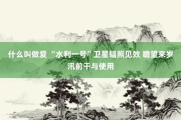 什么叫做爱 “水利一号”卫星辐照见效 瞻望来岁汛前干与使用