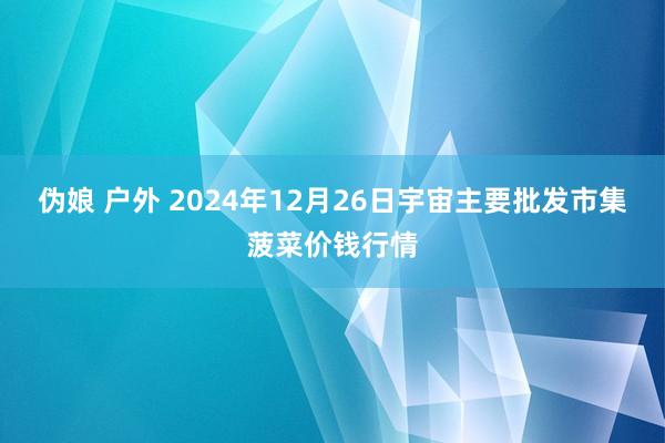 伪娘 户外 2024年12月26日宇宙主要批发市集菠菜价钱行情