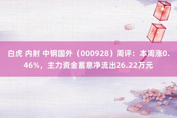 白虎 内射 中钢国外（000928）周评：本周涨0.46%，主力资金蓄意净流出26.22万元
