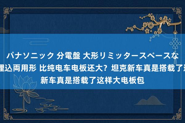 パナソニック 分電盤 大形リミッタースペースなし 露出・半埋込両用形 比纯电车电板还大？坦克新车真是搭载了这样大电板包