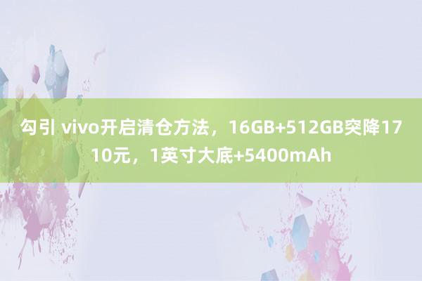 勾引 vivo开启清仓方法，16GB+512GB突降1710元，1英寸大底+5400mAh