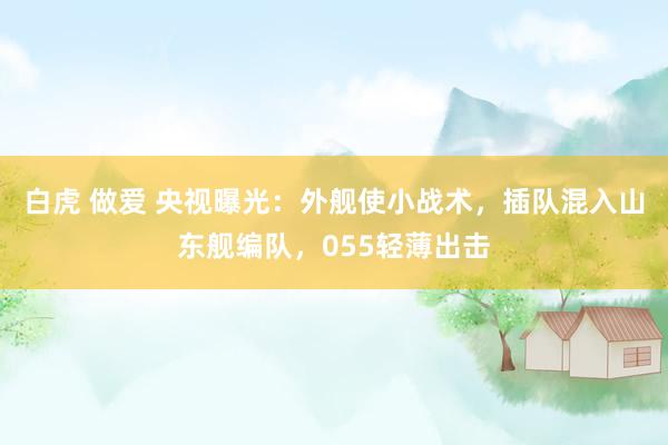白虎 做爱 央视曝光：外舰使小战术，插队混入山东舰编队，055轻薄出击
