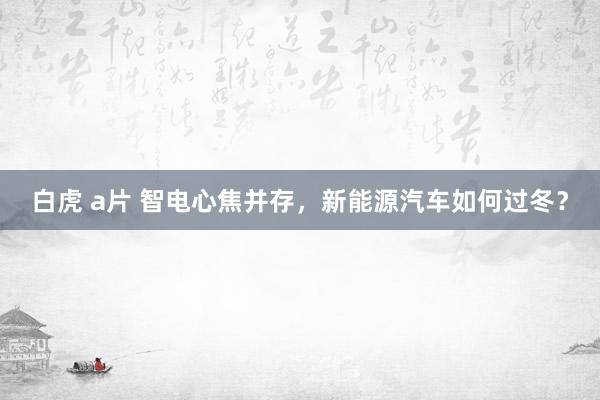 白虎 a片 智电心焦并存，新能源汽车如何过冬？