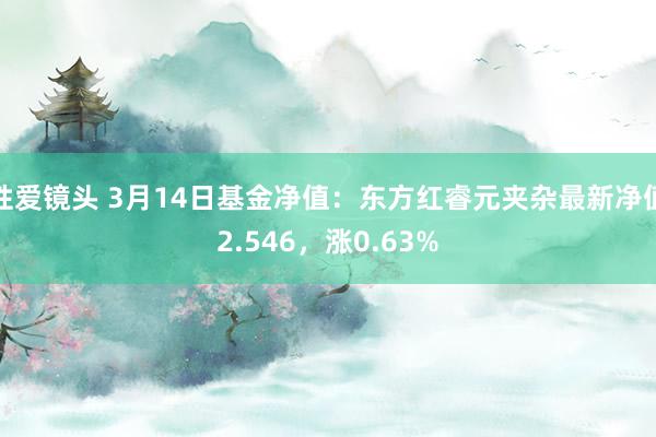 性爱镜头 3月14日基金净值：东方红睿元夹杂最新净值2.546，涨0.63%