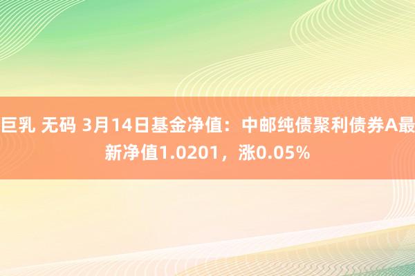 巨乳 无码 3月14日基金净值：中邮纯债聚利债券A最新净值1.0201，涨0.05%