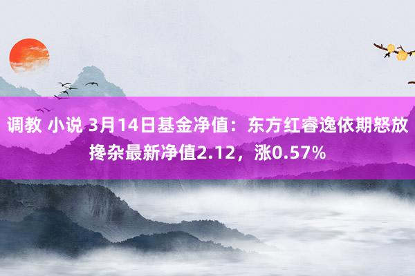 调教 小说 3月14日基金净值：东方红睿逸依期怒放搀杂最新净值2.12，涨0.57%