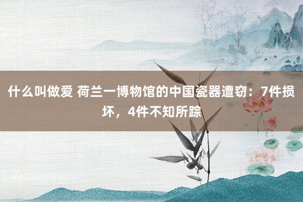 什么叫做爱 荷兰一博物馆的中国瓷器遭窃：7件损坏，4件不知所踪