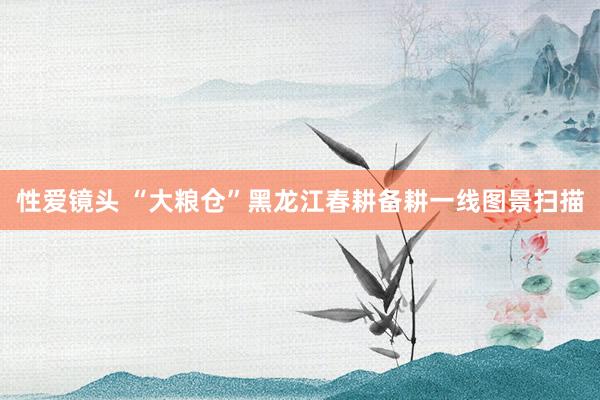 性爱镜头 “大粮仓”黑龙江春耕备耕一线图景扫描