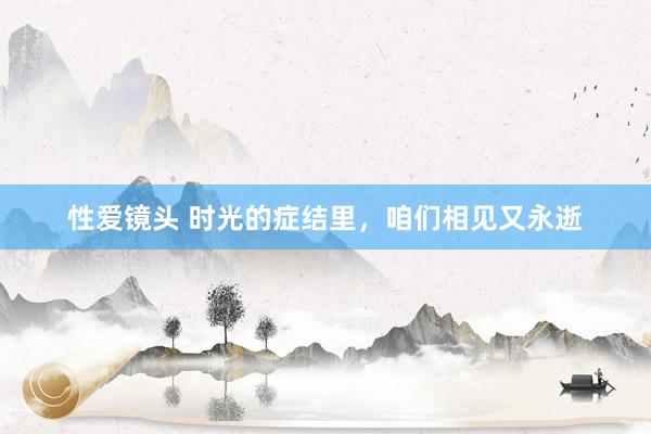 性爱镜头 时光的症结里，咱们相见又永逝