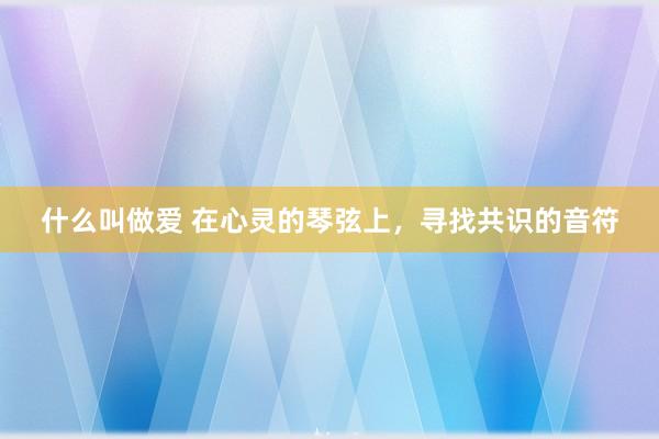 什么叫做爱 在心灵的琴弦上，寻找共识的音符