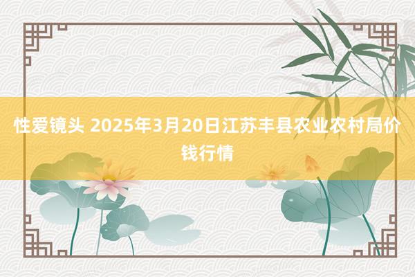 性爱镜头 2025年3月20日江苏丰县农业农村局价钱行情