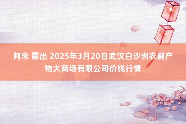 阿朱 露出 2025年3月20日武汉白沙洲农副产物大商场有限公司价钱行情