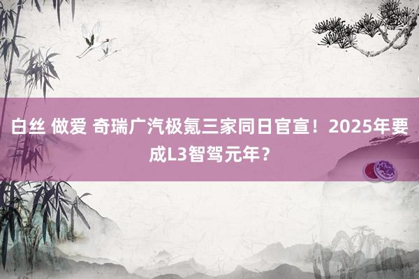 白丝 做爱 奇瑞广汽极氪三家同日官宣！2025年要成L3智驾元年？