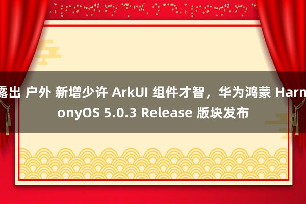 露出 户外 新增少许 ArkUI 组件才智，华为鸿蒙 HarmonyOS 5.0.3 Release 版块发布