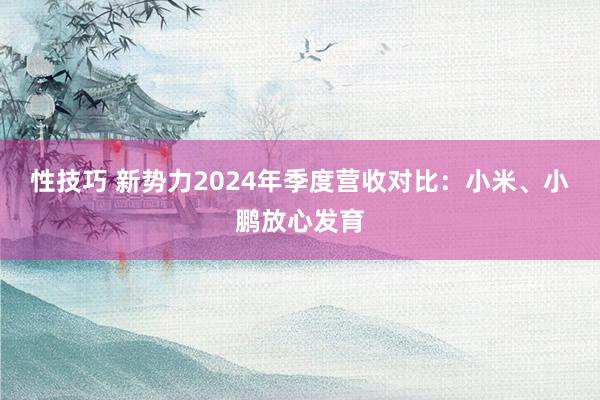 性技巧 新势力2024年季度营收对比：小米、小鹏放心发育