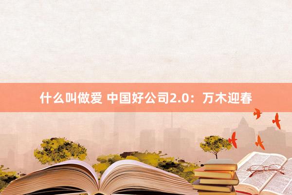 什么叫做爱 中国好公司2.0：万木迎春