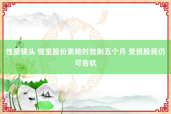 性爱镜头 恒宝股份索赔时效剩五个月 受损股民仍可告状