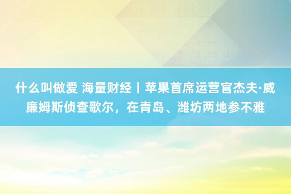 什么叫做爱 海量财经丨苹果首席运营官杰夫·威廉姆斯侦查歌尔，在青岛、潍坊两地参不雅