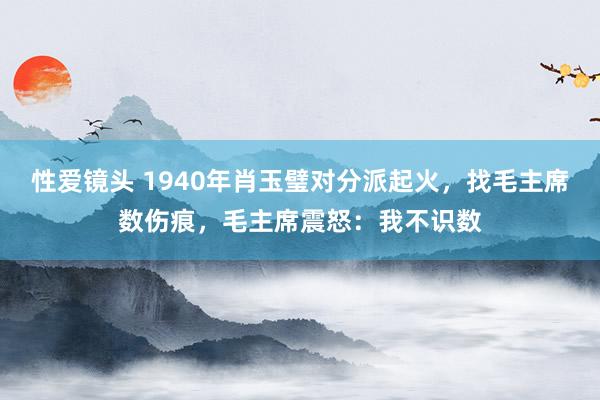 性爱镜头 1940年肖玉璧对分派起火，找毛主席数伤痕，毛主席震怒：我不识数
