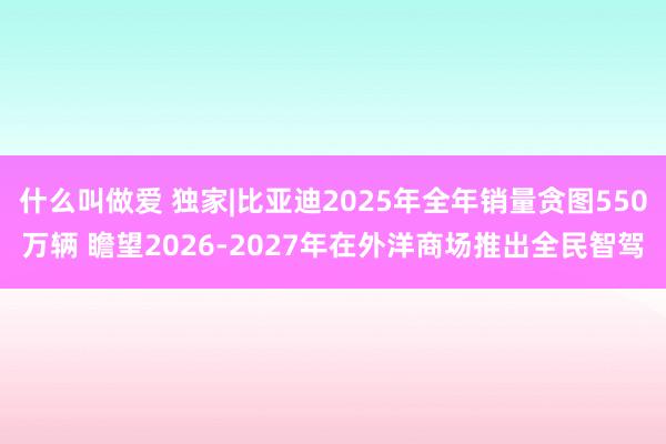 什么叫做爱 独家|比亚迪2025年全年销量贪图550万辆 瞻望2026-2027年在外洋商场推出全民智驾