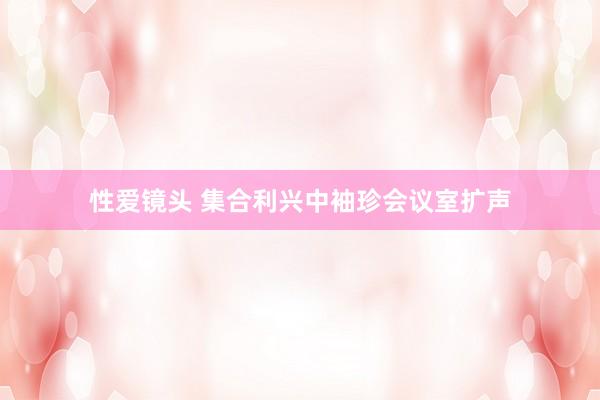 性爱镜头 集合利兴中袖珍会议室扩声