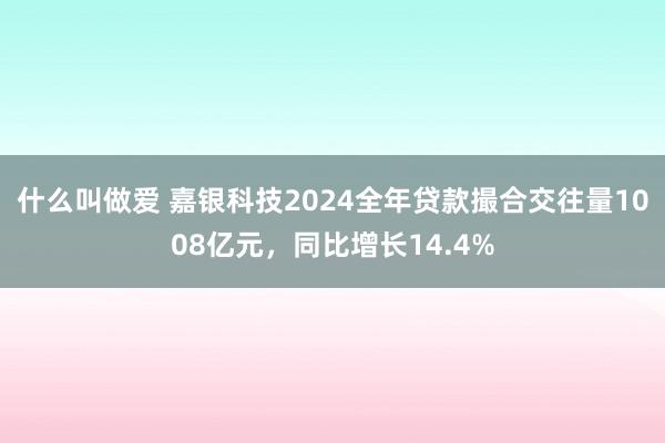 什么叫做爱 嘉银科技2024全年贷款撮合交往量1008亿元，同比增长14.4%