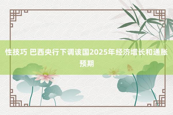 性技巧 巴西央行下调该国2025年经济增长和通胀预期