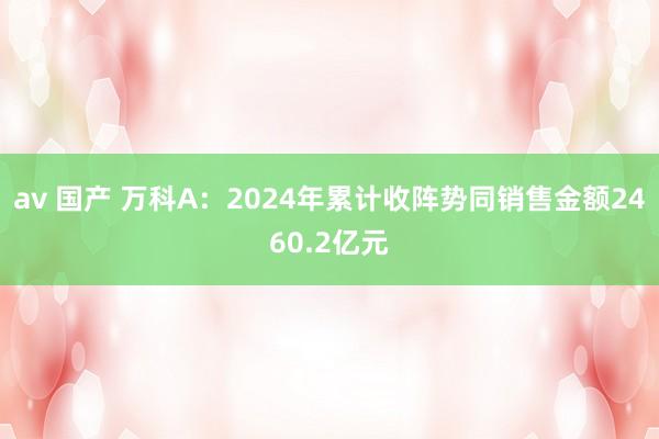 av 国产 万科A：2024年累计收阵势同销售金额2460.2亿元
