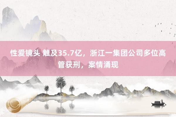 性爱镜头 触及35.7亿，浙江一集团公司多位高管获刑，案情涌现