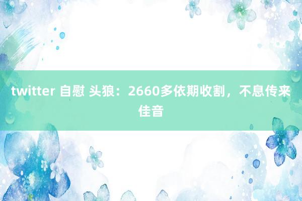 twitter 自慰 头狼：2660多依期收割，不息传来佳音