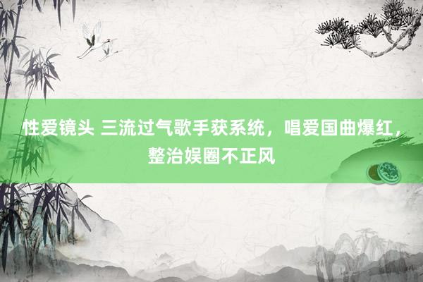 性爱镜头 三流过气歌手获系统，唱爱国曲爆红，整治娱圈不正风
