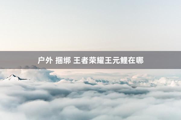 户外 捆绑 王者荣耀王元鲤在哪