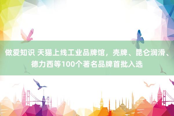 做爱知识 天猫上线工业品牌馆，壳牌、昆仑润滑、德力西等100个著名品牌首批入选