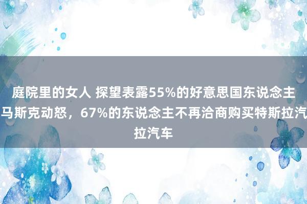 庭院里的女人 探望表露55%的好意思国东说念主对马斯克动怒，67%的东说念主不再洽商购买特斯拉汽车