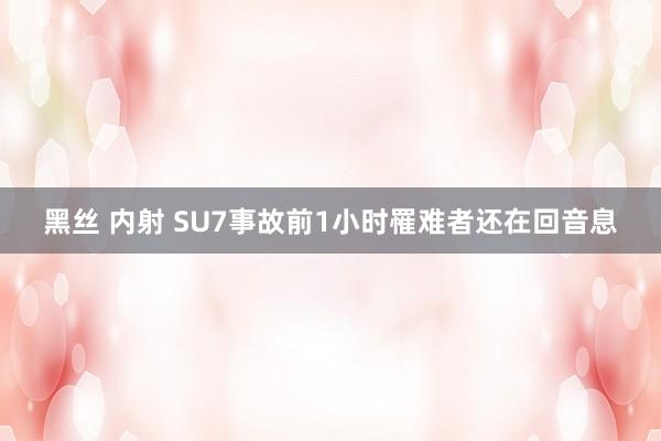 黑丝 内射 SU7事故前1小时罹难者还在回音息