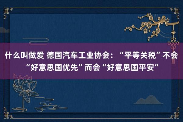 什么叫做爱 德国汽车工业协会：“平等关税”不会“好意思国优先”而会“好意思国平安”