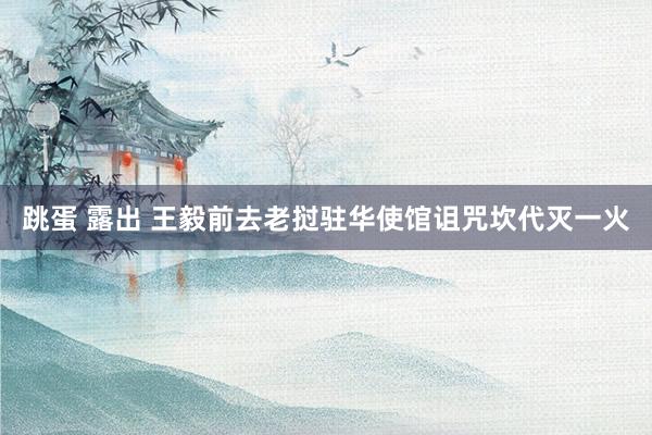 跳蛋 露出 王毅前去老挝驻华使馆诅咒坎代灭一火