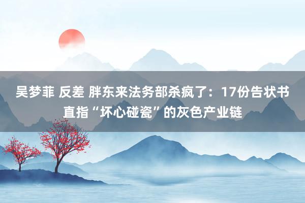 吴梦菲 反差 胖东来法务部杀疯了：17份告状书直指“坏心碰瓷”的灰色产业链