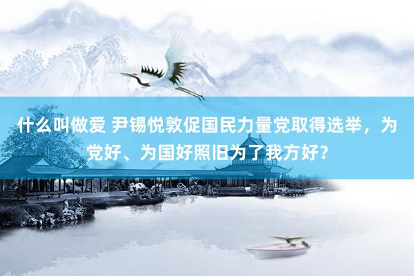 什么叫做爱 尹锡悦敦促国民力量党取得选举，为党好、为国好照旧为了我方好？