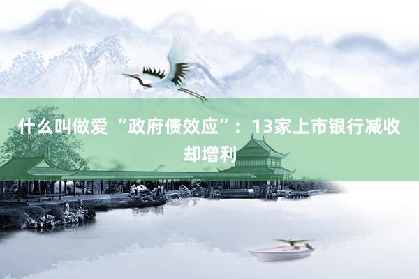 什么叫做爱 “政府债效应”：13家上市银行减收却增利
